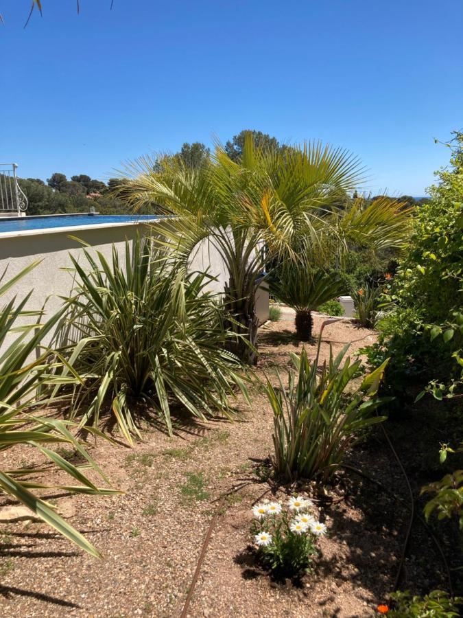 Villa Du Belvedere - La Chambre Mer Saint-Raphaël Eksteriør billede